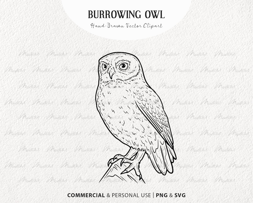 Burrowing Owl Vector Clipart. Owl SVG Artwork. Sitting Bird - Etsy