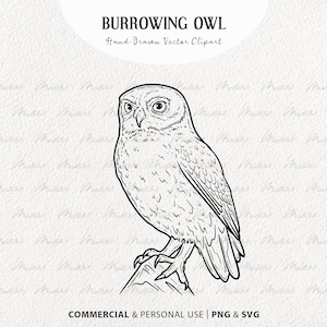 Clipart SVG Chevêche des terriers. Illustration vectorielle de hibou. Dessin au trait oiseau assis. Conception d'oiseau bohème pour Cricut. PNG et SVG à usage commercial