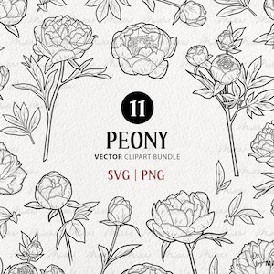 11 Peony Flower SVG Clipart Bundle. Spring Peony Blossoms. Flower Bouquet Line Drawing. Rose Vector Outline. Wildflower Peonies. PNG & SVG