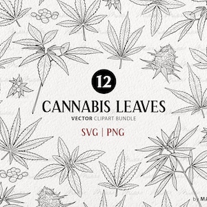 Cannabis Pflanze Clipart Bundle. 12 Vektor Hanf Elemente. Marihuana Blätter Umriss. Weed Plant Strichzeichnungen. High Stoner Art. PNG & SVG