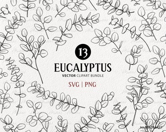 Eucalyptus Leaf Clipart Bundle. 13 Vector Leaves. Botanical Line Illustrations. Minimal Plant Decor Art. PNG & SVG with Commercial License