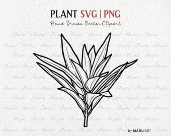 Leafy Plant SVG Clipart. Vector House Plant Line Drawing. Potted Plant Outline Illustration. Minimal Plant Art. PNG & SVG Art