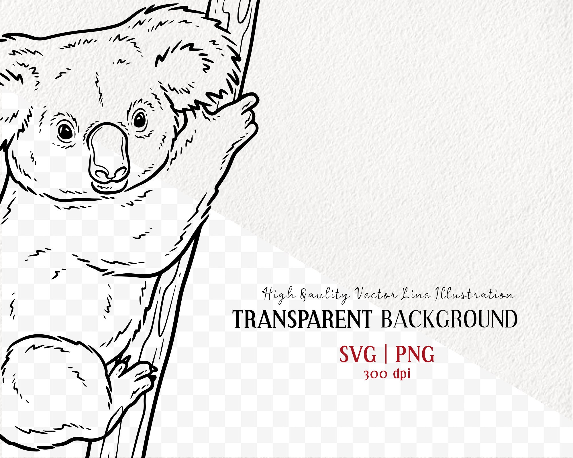 Koala Bear Vector Clipart. Koala Outline Illustration. Cute Etsy