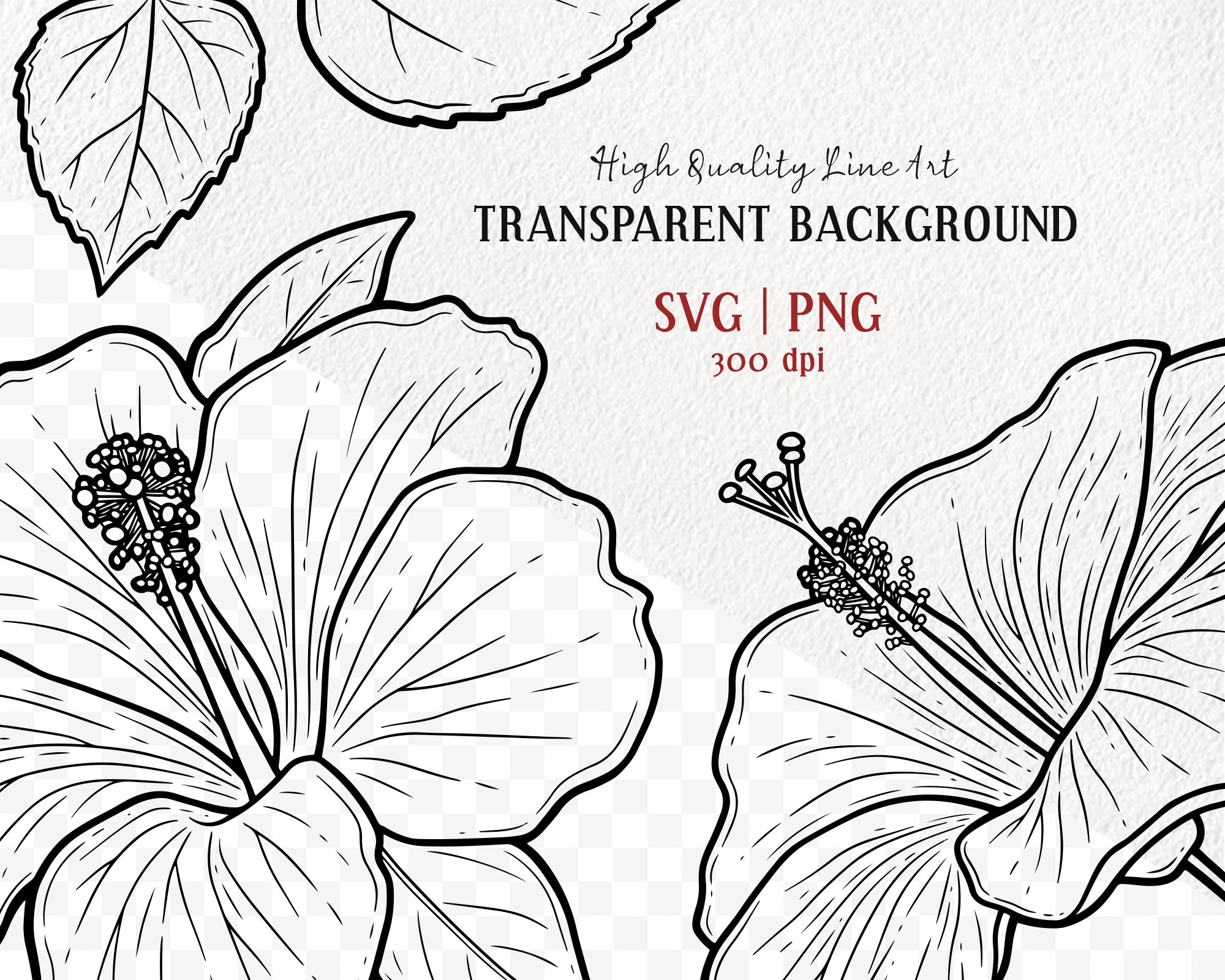 Hibiscus SVG Clipart Bundle. 8 Tropical Hawaii Flowers. Botanical ...