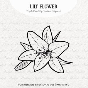 Lilie Blume SVG Clipart. Tigerlilienblüte. Blumenstrauß Strichzeichnung. Ostern, Lilie, Vektor, Umriss. Frühling Wildblume. PNG und SVG