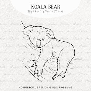 Koala Bear SVG Clipart. Koala Vector Outline Illustration.  Cute Koala Sitting. Exotic Animal Line Art. Commercial SVG & PNG