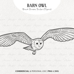 Schleiereule SVG Clipart. Schnee-Eule. Fliegender Vogel, Vektor, Zeichnung. Boho Vogel Design. Hedwig Eule. Kommerzielle Nutzung PNG & SVG