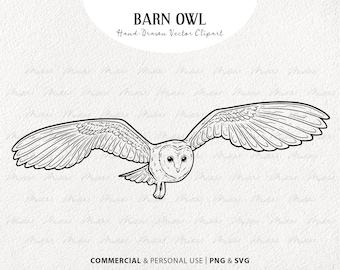 May include: A black and white line drawing of a barn owl in flight. The owl is facing the viewer with its wings spread wide. The drawing is on a white background.