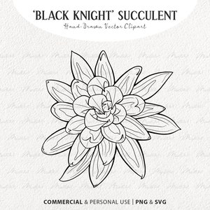 Imágenes prediseñadas SVG suculentas del Caballero Negro. Ilustraciones vectoriales de plantas del desierto. Esquema de cactus. Dibujo lineal botánico. Uso comercial SVG y PNG