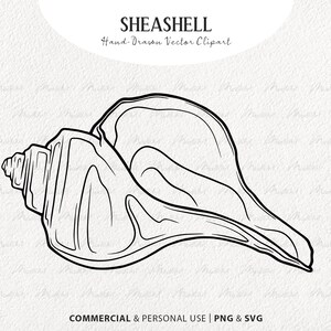 Seashell SVG Clipart. Ocean Themed Vector Line Drawing. Nautical Ocean Crab Shell. Beach Sea Shell Art Stamp. Digital Download SVG, PNG