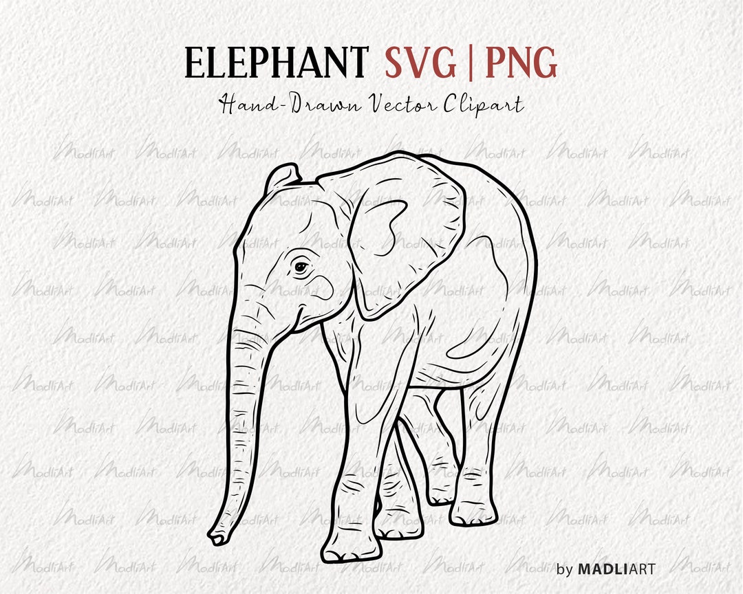 Elephant Vectordraw Elephant SVG Clipart. Elephant Vector Drawing. Safari Animal SVG Line ...