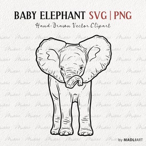Puede incluir: Un dibujo en blanco y negro de un elefante bebé con orejas grandes. El elefante está de pie con la trompa enroscada. La imagen es un clipart vectorial.