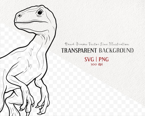 Ilustração Do Livro De Colorir Dos Desenhos Animados Velociraptor Royalty  Free SVG, Cliparts, Vetores, e Ilustrações Stock. Image 66653279