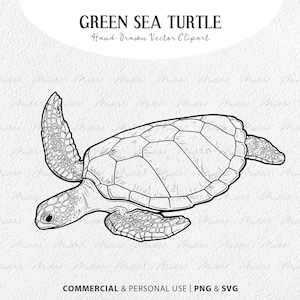 Tortuga Marina Verde SVG Clip Art. Arte de línea vectorial de tortugas marinas. Dibujo lineal de animales marinos. Ilustración de la vida silvestre del océano. Comercial PNG y SVG