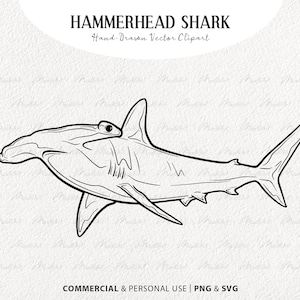 Hammerhead Shark SVG Clipart. Shark Vector Line Drawing. Ocean Animal Line Art. Marine Mammal Stamp. Commercial PNG & SVG