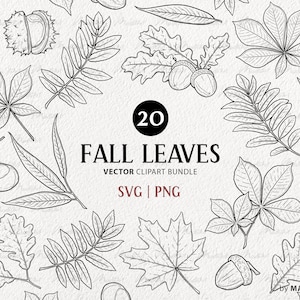 Fall Leaves SVG Clipart Bundle. 20 Vector Autumn Outlines. Oak, Maple, Birch, Chestnut, Willow, Rowan Tree Leaf Illustrations. PNG & SVG