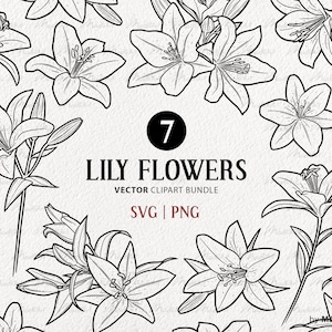 7 paquet de cliparts SVG fleur de lys. Fleurs de Lys Tigré. Dessin au trait de bouquet de fleurs. Contour vectoriel du lys de Pâques. Fleurs sauvages du printemps. PNG et SVG