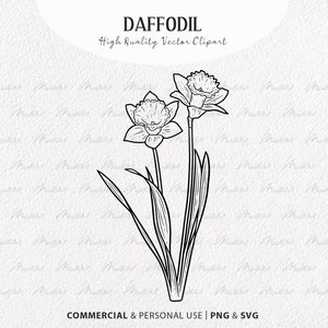 Clipart SVG jonquille. Fleur printanière de vecteur de jonquille. Art de la ligne de fleur de jonquille. Contour de vecteur de narcisse. Fleur de naissance de mars. PNG et SVG