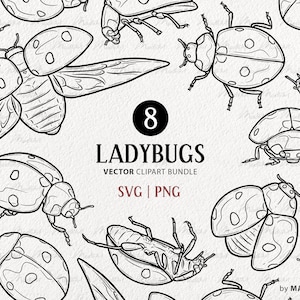 Pacchetto di 8 clipart vettoriali coccinella. Francobolli con contorno Lady Bug. Illustrazione sveglia del profilo degli insetti di amore. Arte della linea di insetti volanti. PNG e SVG commerciali