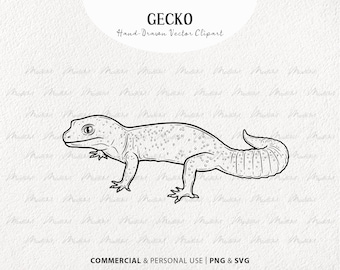 Clipart Geco SVG. Disegno vettoriale di lucertola. Geco leopardo, Geco crestato Line Art. Grafica del contorno del rettile. PNG commerciale e SVG