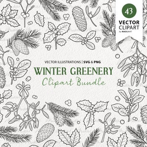 43 Pacchetto di clipart vettoriali verde invernale. Piante sempreverdi di Natale. Illustrazioni della linea di Natale. Agrifoglio, Vischio, Pino, Pigna. PNG e SVG