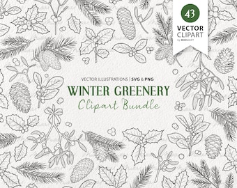 May include: A black and white illustration set of winter greenery clipart. The set includes holly, mistletoe, pine branches, pine cones, and berries. The illustrations are perfect for creating winter-themed designs.