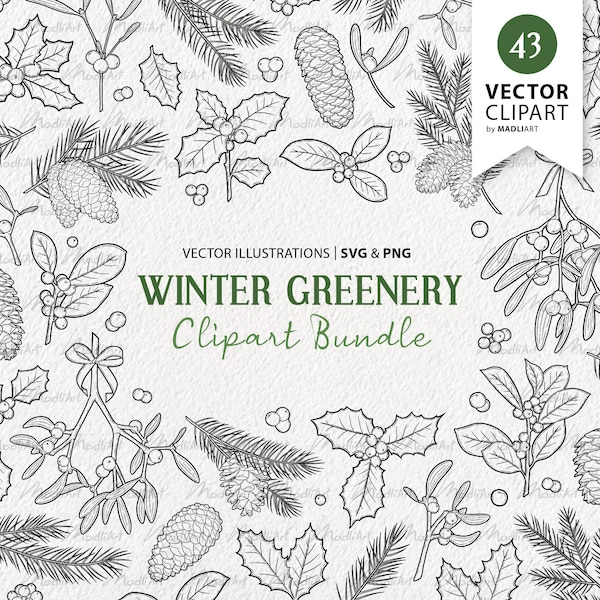 43 Winter Greenery Vector Clipart Bundle. Christmas Evergreen Plants. Xmas Line Illustrations. Holly, Mistletoe, Pine, Pinecone. PNG & SVG