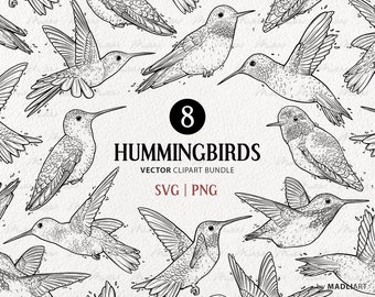 Hummingbird Vector Clipart Bundle. SVG and PNG cut files. Little Flying Birds. Line Drawing Set. Instant Download Commercial Use Files.