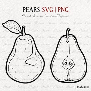 Pacchetto di clipart SVG di pere. 2 illustrazioni di linee vettoriali di pere. Frutta estiva, foglie, rami di pere. Disegno di contorno di pere. File PNG e SVG