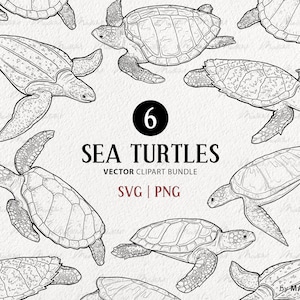 Paquete de imágenes prediseñadas SVG de tortugas marinas. Conjunto de ilustraciones vectoriales de animales oceánicos. Impresiones de tortugas marinas verdes. Dibujo de línea marina mínima. SVG comercial, PNG.