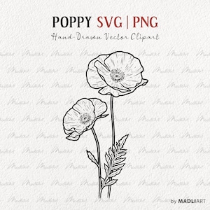 Clipart SVG coquelicot. Dessin vectoriel de pavot. Clipart fleurs sauvages pavot. Dessin au trait de feuilles de fleur de pavot de printemps. PNG et SVG