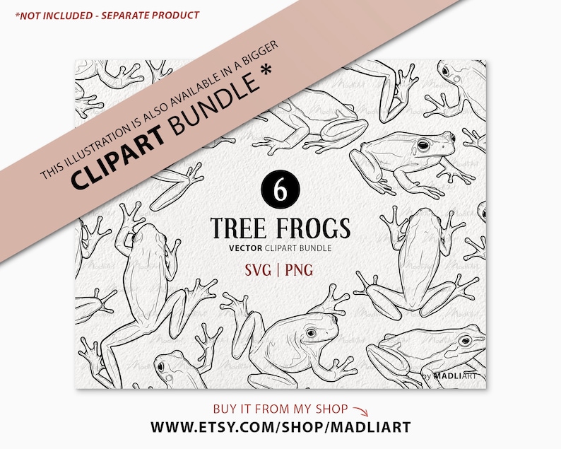 Tree Frog SVG Clipart. Frog Vector Drawing. Green, White and Red-Eyed Tree Frog. Reptile Outline Graphics. Commercial PNG & SVG image 4