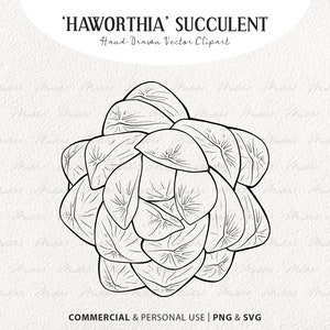 Haworthia Cymbiformis Suculenta SVG Clipart. Ilustraciones vectoriales de plantas del desierto. Esquema de cactus. Dibujo lineal botánico. Uso comercial SVG y PNG