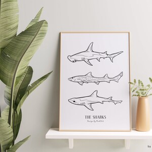 8 Procreate Shark Stamps. Sea Animal Tattoo Design. Great - Etsy