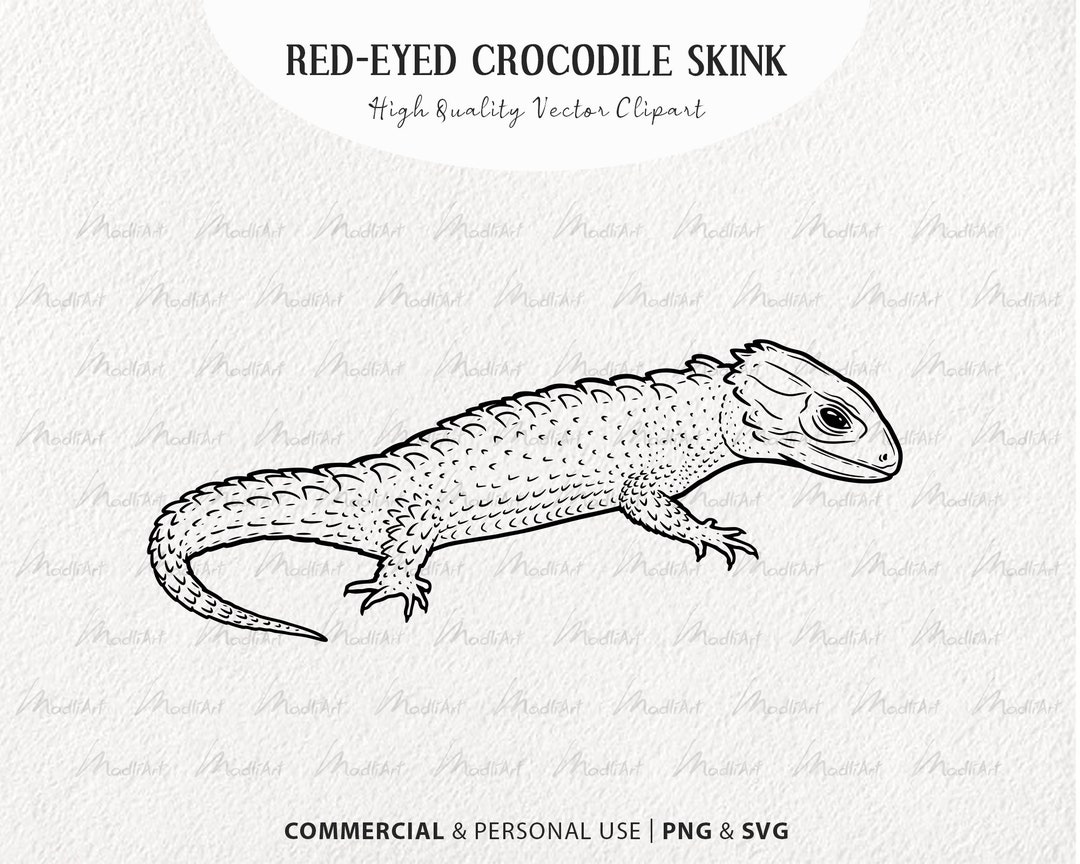 Red-eyed Crocodile Skink SVG Clipart. Snake Like Lizard Vector Drawing ...