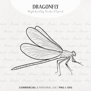 Libel SVG-clipart. Dragonfly Vector Overzicht Stempels. Damselfly lijn illustratie. Vliegende insectenlijntekening. Commercieel gebruik PNG & SVG