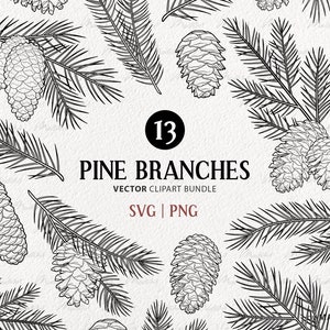 Pacchetto di clipart vettoriali di pino. Pigna SVG art. Illustrazioni della linea degli alberi sempreverdi. Decorazione vegetale verde invernale. PNG e SVG commerciali