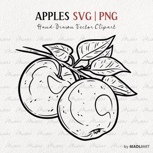 Clipart SVG de branche de pommier. Dessin au trait vectoriel pomme. Fruits de pommiers, feuilles, branches Illustration de la ligne. Fichiers PNG et SVG
