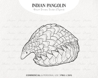 Indian Pangolin SVG Vector Clip Art. Endangered Pangolin Vector Artwork. Armadillo Line Art Drawing. PNG & SVG with Commercial License