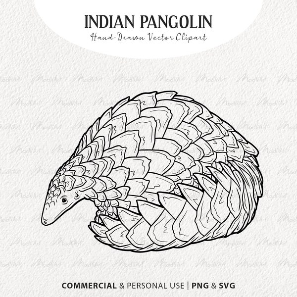 Indian Pangolin SVG Vector Clip Art. Endangered Pangolin Vector Artwork. Armadillo Line Art Drawing. PNG & SVG with Commercial License