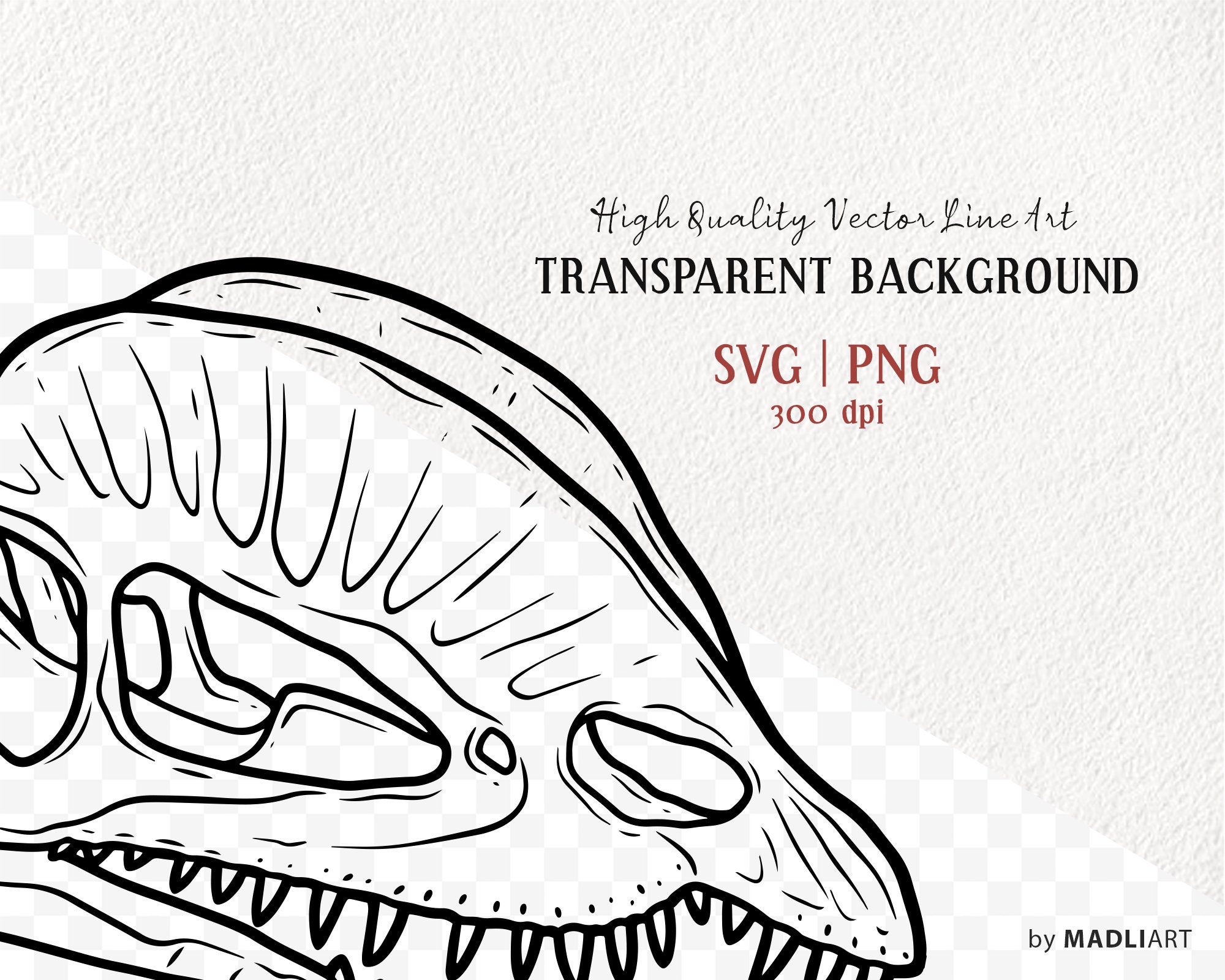 Dinosaurus schedel SVG clipart. Dilophosaurus vector schedel tekening.  Prehistorische dinosaurus Svg lijntekeningen. SVG- en PNG-bestanden - Etsy  België, image size:2000x1600
