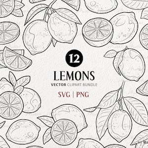 Lemon SVG Clipart Bundle. 12 Vector Lemons. Lemon Tree Fruits. Citrus Slice Clipart. Lemonade Line Illustrations. Lemon PNG & SVG Art Files