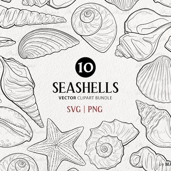 Seashell SVG ClipArt Bundle. 10 Ocean Themed Vector Line Drawings. Minimalistic Beach Shell Art Stamps. Digital Download SVG, PNG