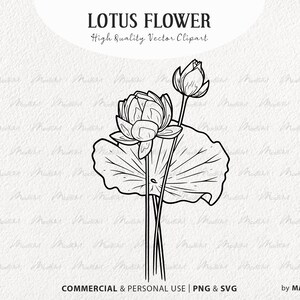 Lotusbloem SVG. Waterlelie Clipart lijntekening. Hemelse bloem vector kunst. Botanische schetstekening van Lotus Flower Blossom. SVG- en PNG-bestanden