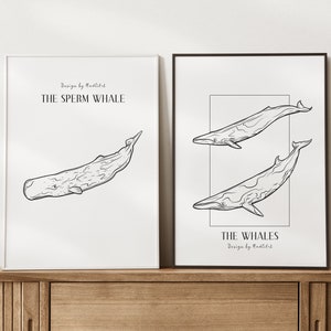 Puede incluir: Dos dibujos en blanco y negro de ballenas. La primera imagen es de una ballena de esperma con el texto "Design by Mudlist THE SPERM WHALE". La segunda imagen es de dos ballenas con el texto "THE WHALES Design by Mudlist".