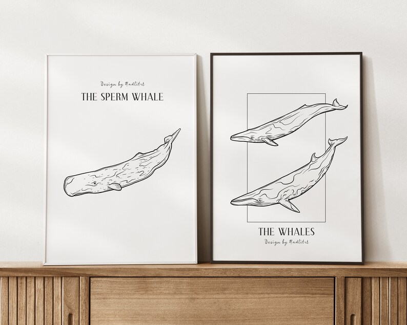 Puede incluir: Dos dibujos en blanco y negro de ballenas. La primera imagen es de una ballena de esperma con el texto "Design by Mudlist THE SPERM WHALE". La segunda imagen es de dos ballenas con el texto "THE WHALES Design by Mudlist".