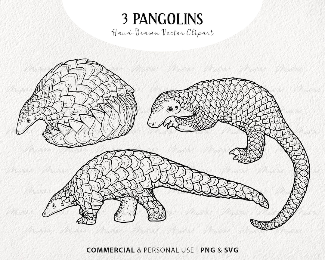 Pangolin Vector Clipart. Digital Endangered Animal Artwork