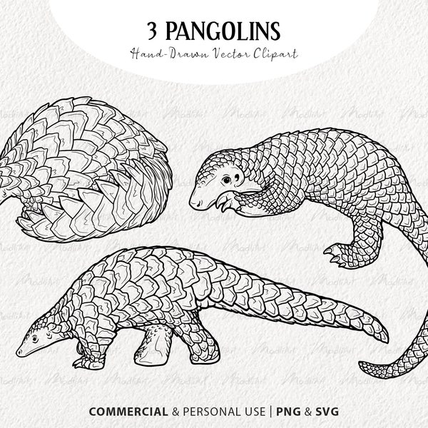 Pangolin Vector Clipart. Digital Endangered Animal Artwork. Minimalistic Mammal Line Art Drawing. Instant Download PNG and SVG file