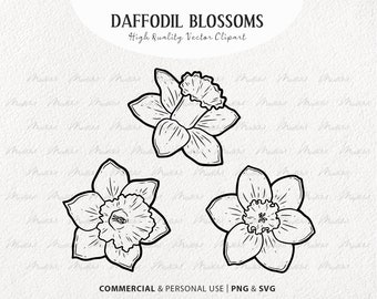 3 Daffodils SVG Clipart. Spring Daffodil Vector Blossoms. Daffodil Flower Line Art.Narcissus Vector Outline. March Birth Flower. PNG & SVG