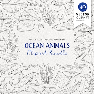Lot de 40 cliparts d’animaux de l’océan. Dessin au trait vectoriel des animaux marins. Dessins de la vie marine sous-marine. Dauphin, baleine, requin, raie. SVG et PNG